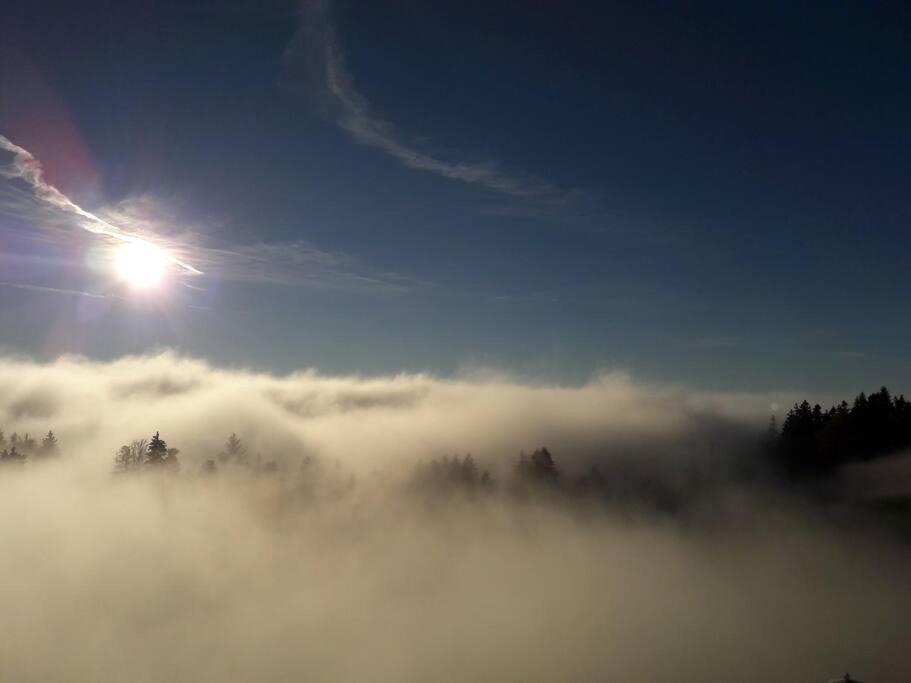 Grosszuegige Ferienwohnung Am Skigebiet Boedele Mit Rheintalblick Dornbirn Extérieur photo